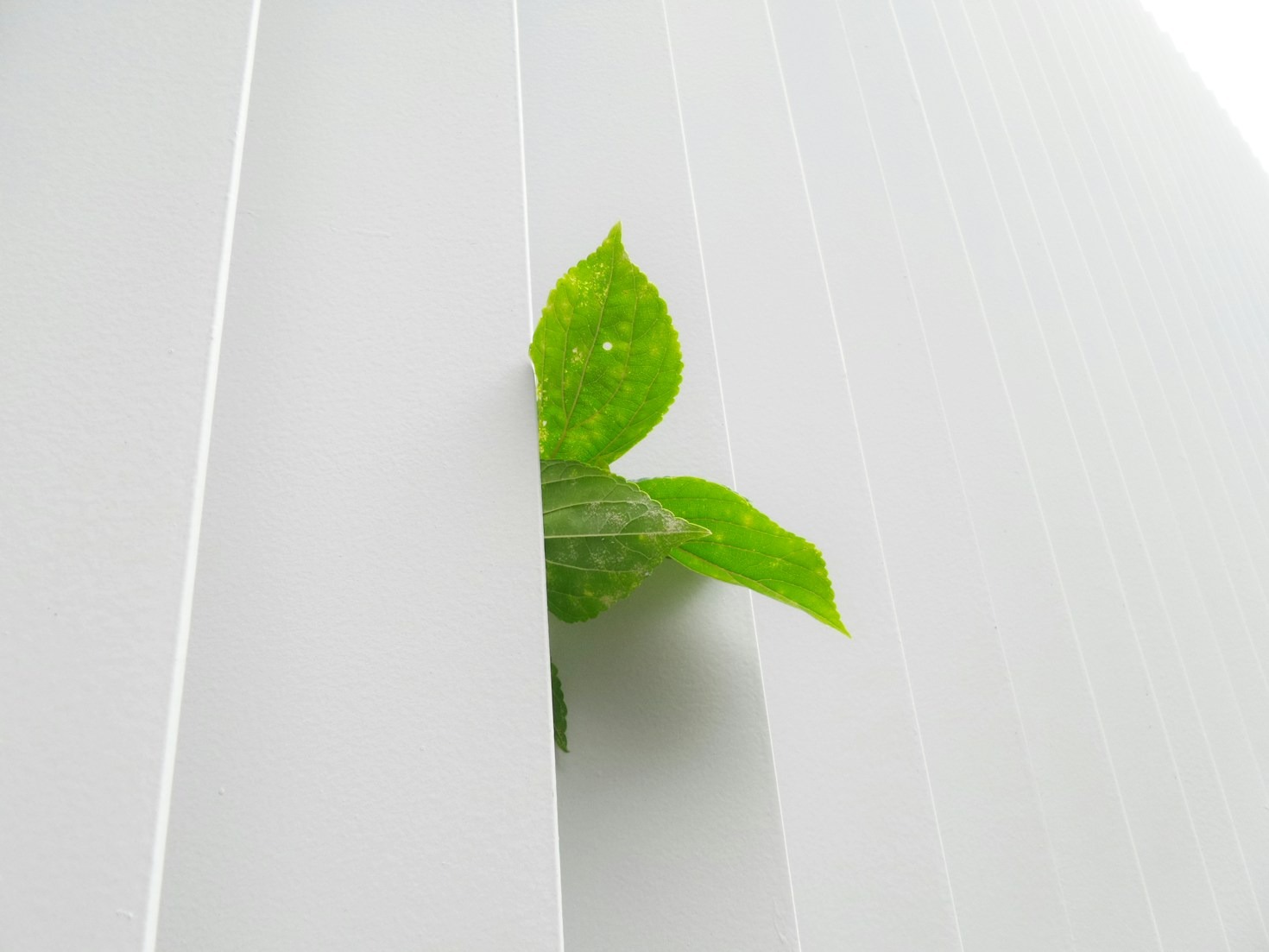 Challenges Sri Lanka Faces in Environmental Preservation